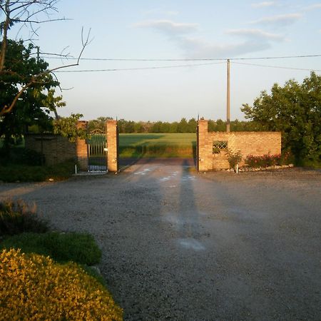 Гостьовий будинок Agriturismo La Cascinetta П'єве-ді-Ченто Екстер'єр фото